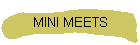 MINI MEETS